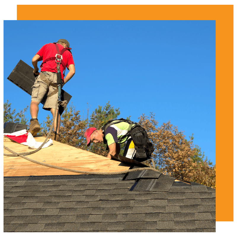 Two roofers wearing harnesses on the roof replacing shingles
